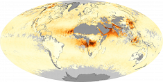 Засуха и качество воздуха в августе 2010 года, 1-31 августа 2009