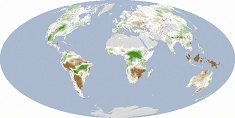 Засуха замедляет рост растений, 2000-2009 годы