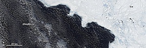 Арктический Морской Ледяной Минимум на 2010, 19...
