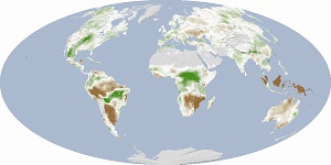 Засуха замедляет рост растений, 2000-2009 годы...
