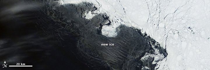 Арктический Морской Ледяной Минимум на 2010, 19 сентября 2010