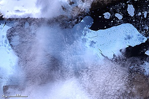 Айсберг откалывается от ледника Petermann...