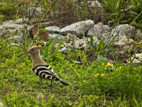 Pictures from summer-7