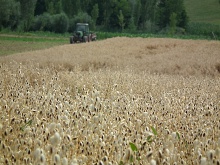Pictures from summer