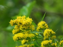 Pictures from summer-4
