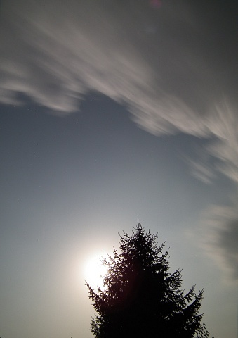 Pictures from summer-2