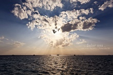 Солнечное море