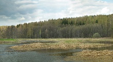 Прекрасный север (Beautiful north)