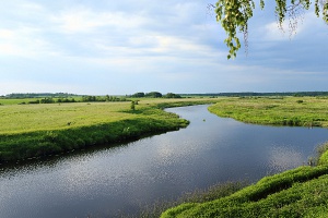 Река Теза