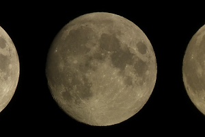 Мы тебя видим, луна (We can see you, moon)...