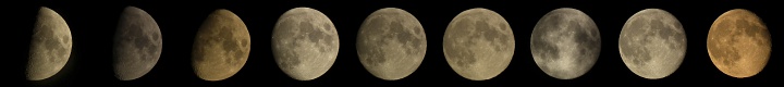 Мы тебя видим, луна (We can see you, moon)