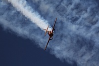 Авиа-шоу-29