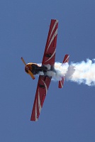 Авиа-шоу-31