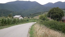 Зеленые холма (Green Hills)